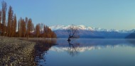 Arrowtown & Wanaka Premium Tour - Remarkable Scenic Tours image 1