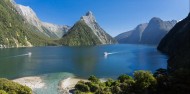 Kayaking - Milford Sound Cruise & Kayak image 2