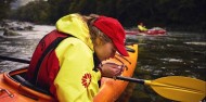 Kayaking - Milford Sound Cruise & Kayak image 6