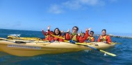 Kayaking - Kaikoura Kayaks image 8