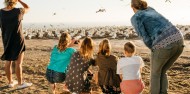 Bird Watching - Cape Kidnappers Gannet Safaris image 6