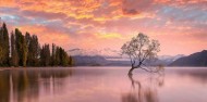 Lake Cruises & Fishing - Adventure Wanaka image 6