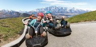 Skyline Gondola & Luge image 1