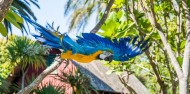 Auckland Zoo - Te Wao Nui - The Living Realm image 1