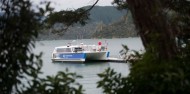 Greenshell Mussel Cruise - Marlborough Tour Company image 6