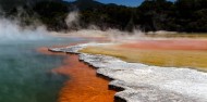 Half Day Wai-O-Tapu Thermal Wonderland Tour - Headfirst Travel image 4
