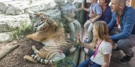 Auckland Zoo - Te Wao Nui - The Living Realm image 8