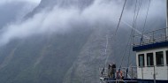 Doubtful Sound Overnight Cruise - Fiordland Navigator image 6