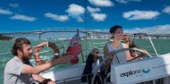 Sailing - Harbour Sailing Cruise image 6