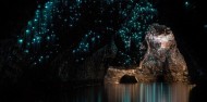 Waitomo Two Cave Combo departing Rotorua - Headfirst Travel image 3
