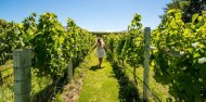 Wine Tours - Wanaka Wine Tours image 1