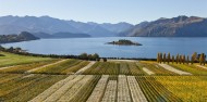 Wine Tours - Wanaka Wine Tours image 5