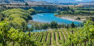 Wine Tours - Wanaka Wine Tours image 7