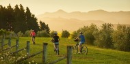 Bike Tours - Marlborough Wineries image 2