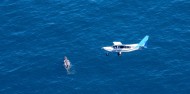 Wings Over Whales- Whale Watching Flights image 7