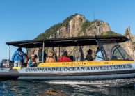 Alderman Islands Nature Reserve Boat Tour