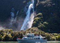 Small Group Milford Sound Coach and Cruise - from Te Anau