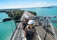 Bridge Climb - NZ's Only Bridge Climb