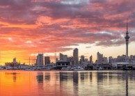 Auckland City Discovery Tour