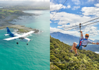 Ziplining & Whale Watching Flight Combo