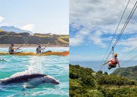 Kayak & Ziplining Combo