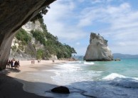 Coromandel Day Tour & Driving Creek Railway
