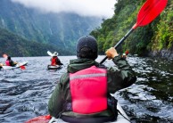 Kayaking - Doubtful Sound Kayak