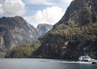 Doubtful Sound Wilderness Day Cruise from Manapouri