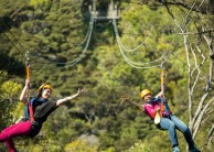 Ecozip Adventures - Waiheke Island