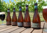 More Than A Wine Tour - Waiheke Island - Enjoi Wine Tours