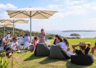 Premium Wine Tour - Waiheke Island - Enjoi Wine Tours