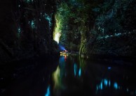 Kayaking - Glow Worm Kayak Tour