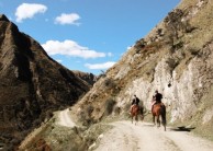 Horse Riding - Gills Canyon Horse Trek