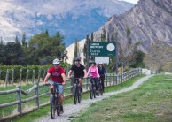 Bike Tours - Half Day Bike the Wineries