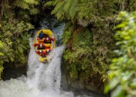 Rafting - Grade 5 Kaituna River - Kaitiaki Adventures