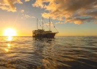Milford Sound Overnight Cruise - Mariner