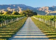 Full Day Wine Tour - Marlborough Wine Tours