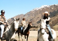 Horse Riding - Lake Shore Horse Trek