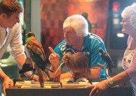 Museum - Te Papa Entry & Guided Tour