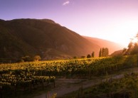 Private Twilight Food & Wine Experience