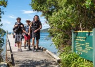 Queen Charlotte Track Day Walk & Cruise - Beachcomber Cruises