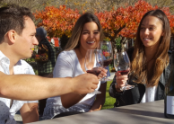 Wine Tours - Queenstown Wine Trail