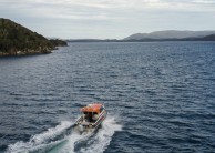 Ulva Island Guided Walk – Rakiura Charters and Water Taxi