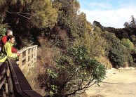 Ulva Island Guided Walk – Rakiura Charters and Water Taxi