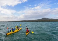 Kayaking - Rangitoto Island Day Tour
