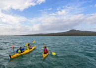 Kayaking - Rangitoto Island Day Tour