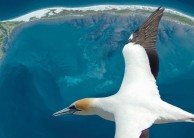Farewell Spit Eco Tours