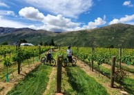 Guided E-Bike Tours - Ride to the Vines