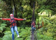 Ziplining - Original Canopy Tour