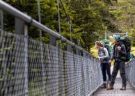 Guided Walks - Half Day Routeburn Nature Walk